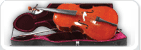 Violoncelles