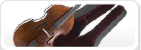 Contrebasses