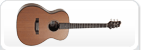 Guitares acoustiques